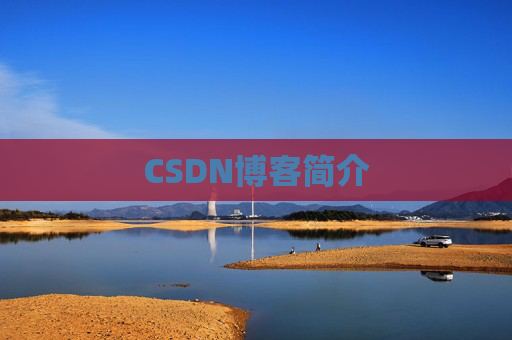 CSDN博客简介